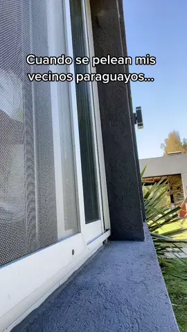 Yo no entender 🤪