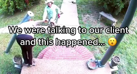 this could’ve been bad… #ring #camera #caughtoncamera #fail #lawntok #lawn #lawncare #fyp #viral #foryoupage #lawntiktok #landscape #landscaping #customer #customservice #client 
