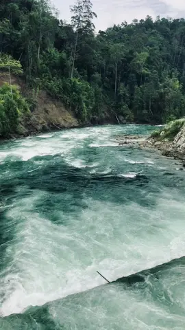 Bahkan jika semuanya itu palsu, trimakasi pernah membuatku merasa dicintai