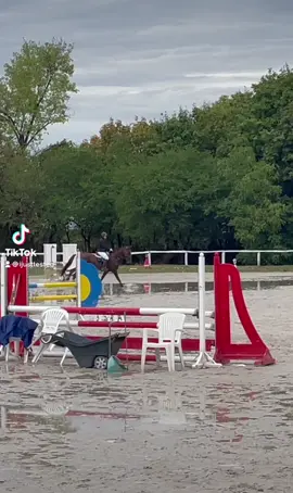 Esésben az első @barnakdora #kurvanagyotestem #horse #ló #fy #foryou #nekedbe #fürdich #esés #baleset #vicc #jólvan #lovasok #dijugrás