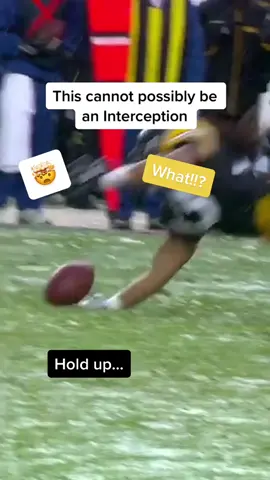 Troy Polamalu is a wizard #steelers #troypolamalu #fyp #fypシ #nfl 