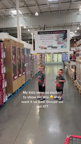 Christmas decorations already 😆 #costcofinds #costco #christmasdecor2022 #christmasdecorations #christmaslights 