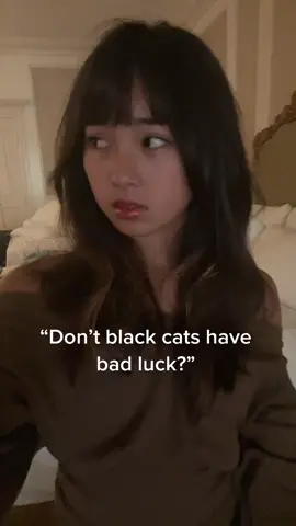 Infact, I think my black cats bring good luck. :) #greenscreen #blackcats 
