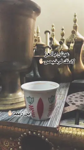 #ابن_زبيد😎✈️👑🤩🇮🇶 #قصيده_شعر_بوح_كلام_من_ذهب #زبيد_اخوان_هدله #ابن_زبيد_✌✌ #زبيدي_وافتخر #ابوذيات_عراقيه_ 