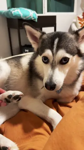 #toebeans 