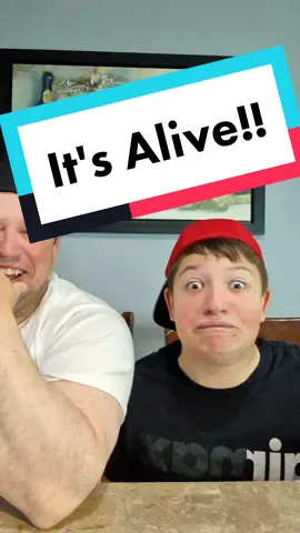 it's alive ! comedy #billengvall #humor #comedy #fyp