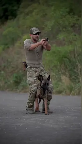 Some dry drills with K9-Harness by @OneTigris K9 #k9training #dog #militarytiktok #armylife #workingdog #fyp 