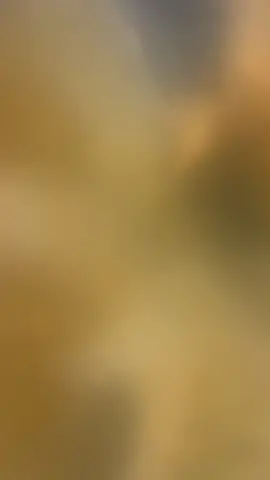 #مسيحي #تلكيف #تلسقف_القوش_باطنايا #تيوتا_هايلكس #سكران#