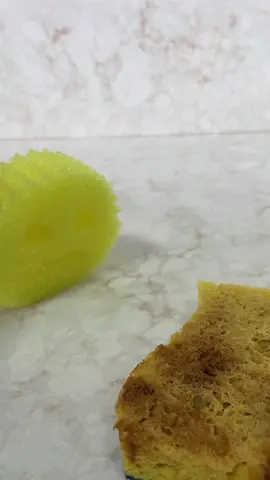 Repulsive. #scrubdaddy #smile #CleanTok #cleaningtiktok #americasfavoritesponge 