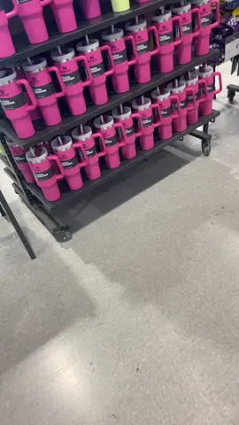 Its starting to become a problem 😭😍 #WorldPrincessWeek #foryou #foryoupage #fyp #stanleytumbler #stanleytumblercup #dicksportandgoods #cupcollector #cupcollection #tumbleraddiction