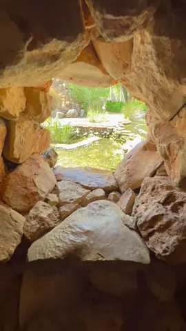 📍Cascada en Lady bird Johnson wildflower center en Austin Texas. Ig: @austinconhijos 