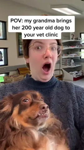 POV: my grandma brings her 200 year old dog to your vet clinic. #comedy #pov #vetclinic #veterinarian #elderlydog #dogsoftiktok 