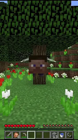 #Minecraft #minecraftmemes #npc #💀 #memes #meme #gamer #fyp #fy #foryou