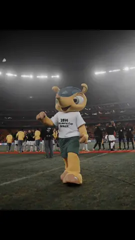 F pro melhor mascote de todos 🇧🇷🖤 #fuleco#copadomundo#futebol#memefutebol#goat