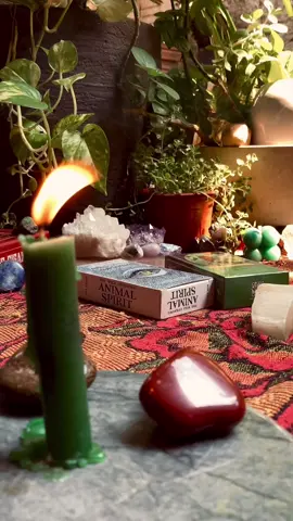 🧙🏽‍♀️✨🌿🌙. #witchtok #witchcraft #tarot #aesthetic #witchesoftiktok #witch