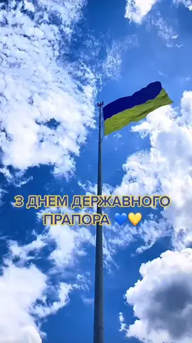 #україна🇺🇦 #деньпрапора #українськийтікток #рекомендації #вільна #незалежна #країна #ukraine #fypシ 