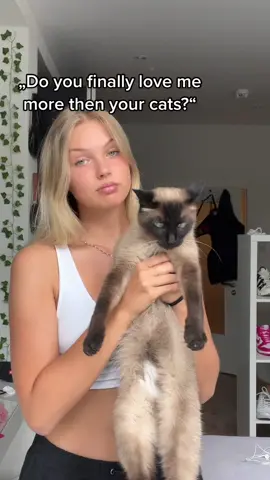 🐱
