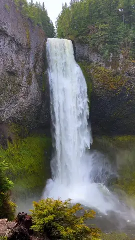 This place 🤩 #waterfall #waterfalls #waterfalllovers #waterfallchasing #mist #river #forest #wilderness #water #trees #landscape #earthspower #wildernessculture #wildernesscollective #nature #naturetok #naturelovers #naturespower #travel #traveltok #traveloregon #oregon #oregonstate #oregonexplored #onlyinoregon #pnw #pnwonderland #shotoniphone #pnwdiscovered #godisgreat 