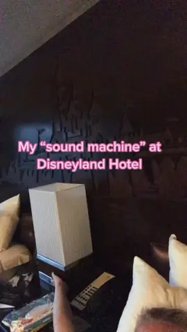 Ready to go back 🥹💖 #disneyland #disneylandhotel #disney #disneymom #disneyadult #dcpalumni #WorldPrincessWeek #MomsofTikTok #momlife #disneyparks 