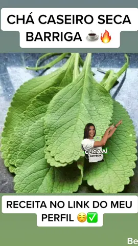 #emagrecimentorapido #perderbarriga #receitaparaemagrecer 