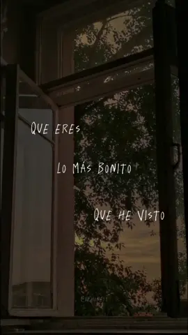 <33  #locos #leonlarregui #paradedicar #fyp