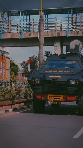 #baracuda #brimob #brimobuntukindonesia #tactical #showofforce #brimobsumsel