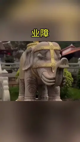 甚麼是業障 #業障 #消業障 #佛法 #修行 #福報
