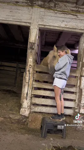 Coors 🤝🏻 attention #horsetok 