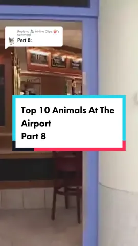 Replying to @🛩️ Airline Clips 🍿