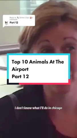 Replying to @🛩️ Airline Clips 🍿