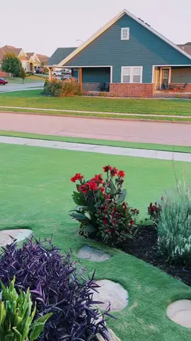 @lefttool #lawnflexin 