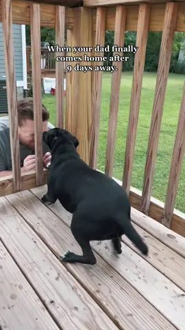 I’m not crying, you’re crying 🥹 #dogownerreunion #wholesome #dogsoftiktok #dogtoker #mansbestfriend 
