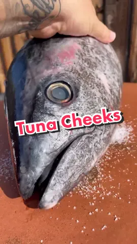 Tuna Cheek #tuna #tunahead #smokedfish #smokedtuna #tiktok #fyp 