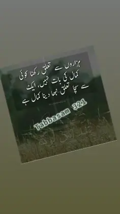 #urduline #foryou #foryoupage #urdupoetry #besturduquotes #tabbasam321