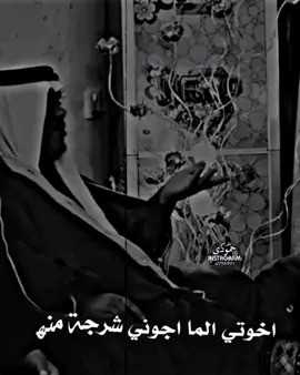 اخوتي الماجوني👌 #المصمم_احمد_القريشي #قناة_اليوتيوب_في_البايو #ازماط #مهاويل #دارميات #هوسات #foryou