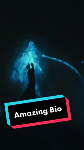 I don’t think I’ll ever get over how amazing bioluminescence is! 🤯🌌 #bioluminescence #getupandgokayaking