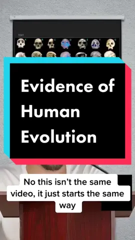 The evidence for #evolution