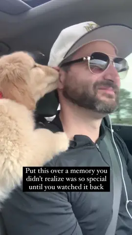Sweet potato memories #idontwanttotalk #goldenretriever #puppytiktok