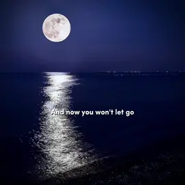 And now you won't let go... let go... | Let go -Ark Patrol & Veronika Redd ( Instrumental) #scenerysounds#arkpatrol#letgoarkpatrol#3amvibes#vibes#music#lyrics#scenery#2020#nostalgia#soundstouse#moon#polarlights#rain#viral#foryou##fyp#foryoupage