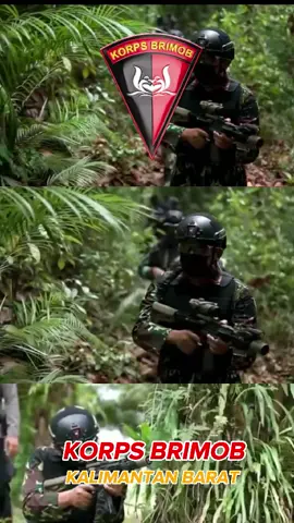 Korps Brimob (Kalimantan Barat) #brimobuntukindonesia #korpsbrimob #pelopor #gegana #pasukanpelopor #pasukangegana #brimob #akpol #junglewarfare #korbrimobpolri #menpor #kalimantantengah 