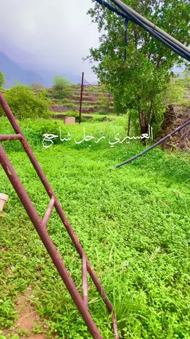 عسيري لازم نشارك 🤍🫀#عسير #دمة_عسير #العسيري #الجنوب