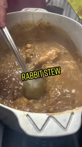 Part 1 on FB and Instagram how to #harvest a #rabbit!! #rabbitstew #rabbitfricassee #PartyWithVMAs #GenshinTeleport #nourisheveryyou