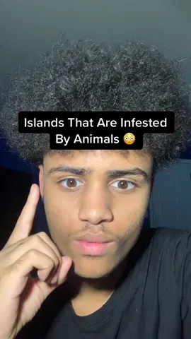 Islands That Are Infested By Animals 😳 #fyp #xyzbca #viral #fypシ #foryoupage 