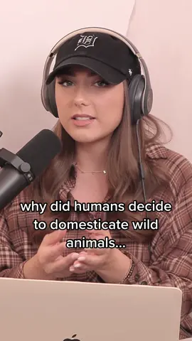 we truly love our little wild animals 🐕🐾🐈 listen to episode 7 to hear more stories about the animals in our homes 🤣 #justalittleshadypodcast #justalittleshady #catsanddogs #wildanimals #dogsoftiktok #catsoftiktok 