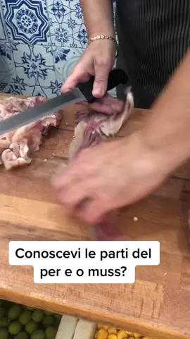 Conoscevi tutte le parti indicate da Paolo?