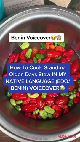 How To Cook Grandma Olden Days Stew IN MY NATIVE LANGUAGE (EDO/BENIN) VOICEOVER😂 #edototheworld #trending #viralvideo #fyp #foryoupage #goviral #foryou