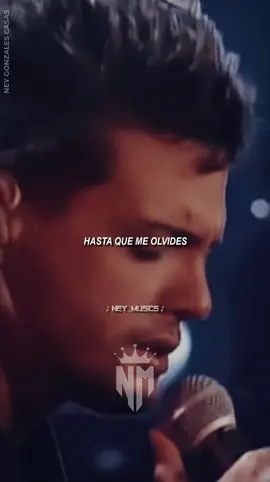 Luis Miguel - Hasta Que Me Olvides // Lyric Video HD #LuisMiguel #Letras