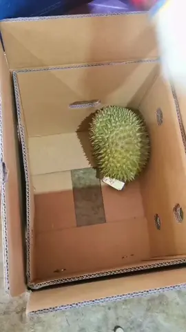 What fruit is this