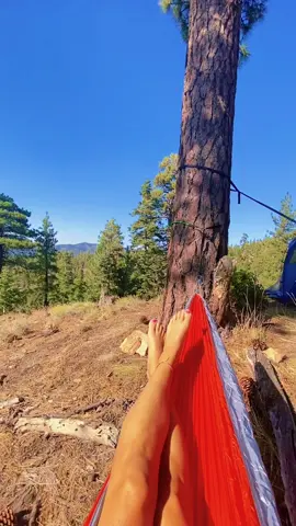 @connersmith song is 🔥 but also- would you wake up here ? #countrygirl #MessFreeHero #GenshinTeleport #PartyWithVMAs #girlswhohike #hikinggirlsummer #hikinggirls