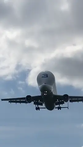 Beluga A300ST LOW and LOUD! 🐄#fyp #foryou #avgeek #aviation #plane #planespotting #airplane #airplanes